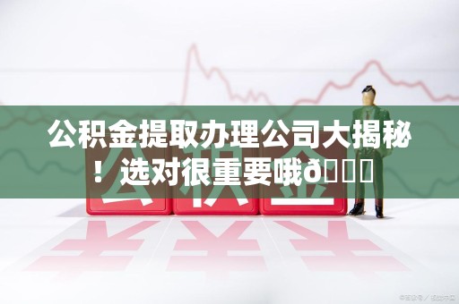 绩溪公积金提取办理公司大揭秘！选对很重要哦😎